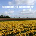 More information about "Moments to Remember"