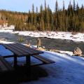 More information about "Elbow Falls, Alberta, Canada"
