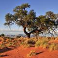 More information about "Namib Hideout"
