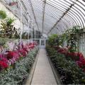 More information about "Belfast Botanic Gardens for PC"