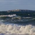 More information about "The Farne Islands"