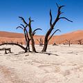 More information about "The Namib-Naukluft NP"