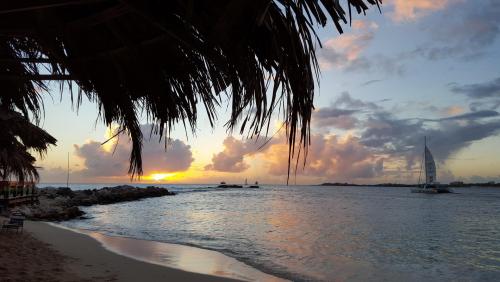 More information about "St Maarten Sunsets"