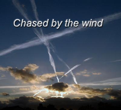 More information about "Chased by the wind"
