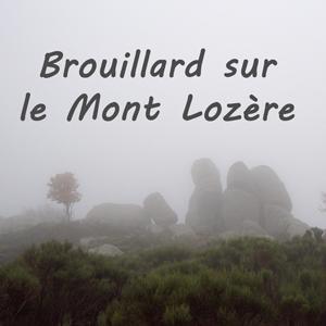 More information about "Brouillard sur le mont Lozère"