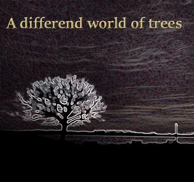 More information about "A differend world of trees"