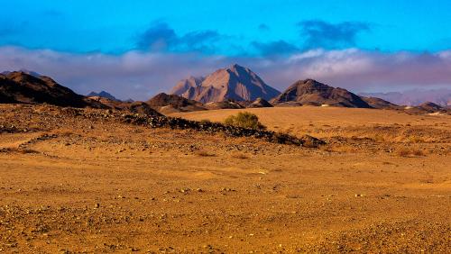 More information about "Richtersveld"