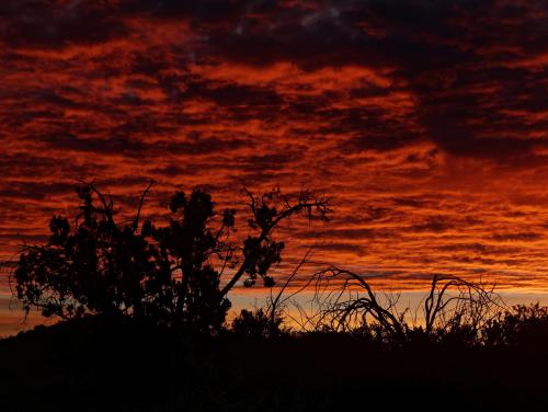 More information about "Sunrise in the Mojave Desert"