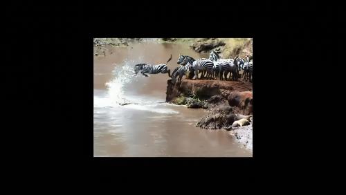 More information about "Africa Part 1"