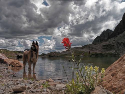 More information about ""