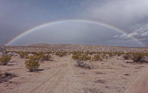 More information about "Some Things You'll Find in the Desert"