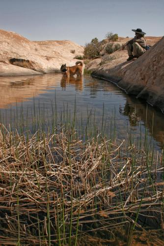 More information about "2004 in Utah"