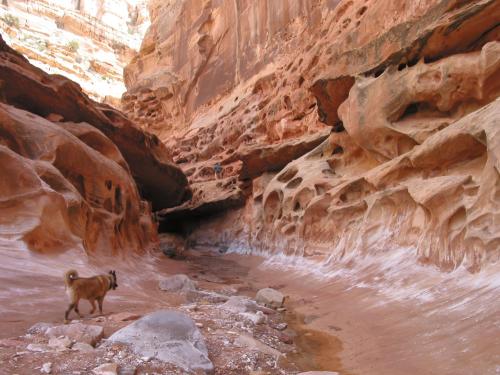 More information about ""